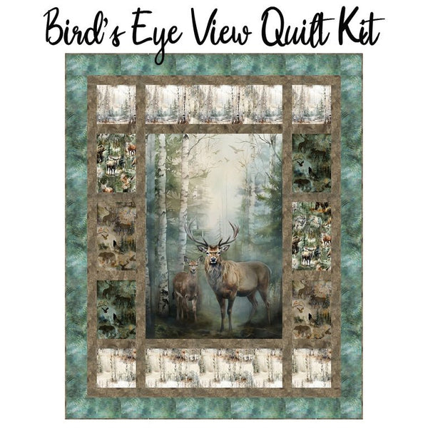 Bird's Eye View Quilt Kit from Hoffman - Hoffman from Fort Worth Fabric Studio