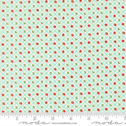 Bloomsberry Checks & Plaid Aqua - Moda from Fort Worth Fabric Studio