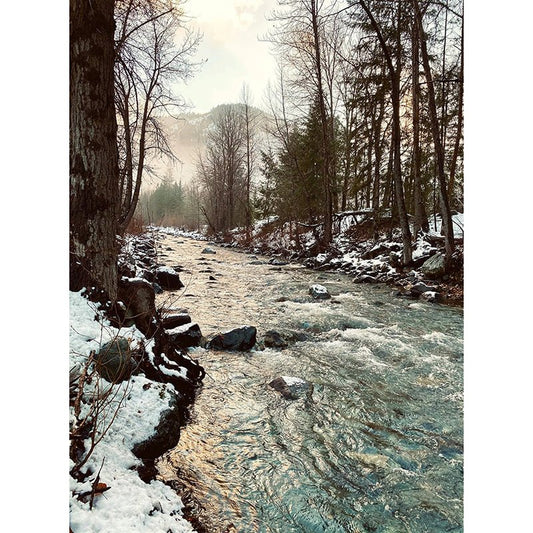 Call of the Wild 32.5" Panel Snowy River Sepia - Hoffman from Fort Worth Fabric Studio