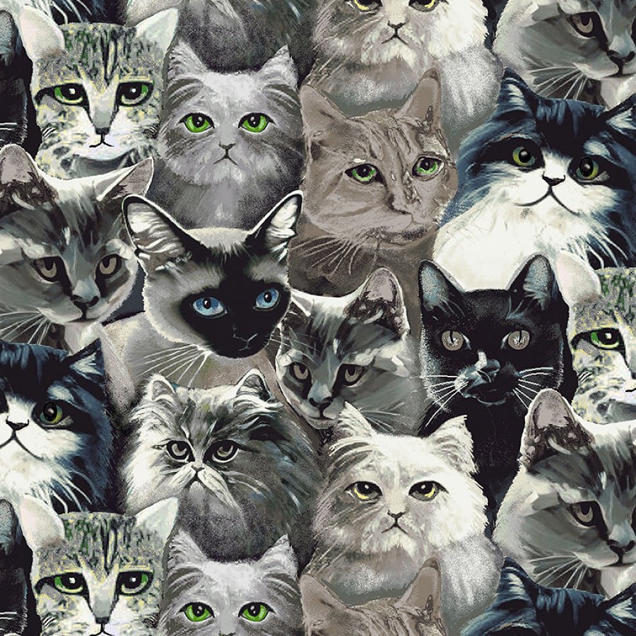 Catsup Cat Faces Black/Gray – Remnant 39″ × 44″