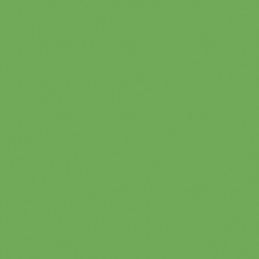 Confetti Cottons Riley Green FULL BOLT Special - Riley Blake from Fort Worth Fabric Studio