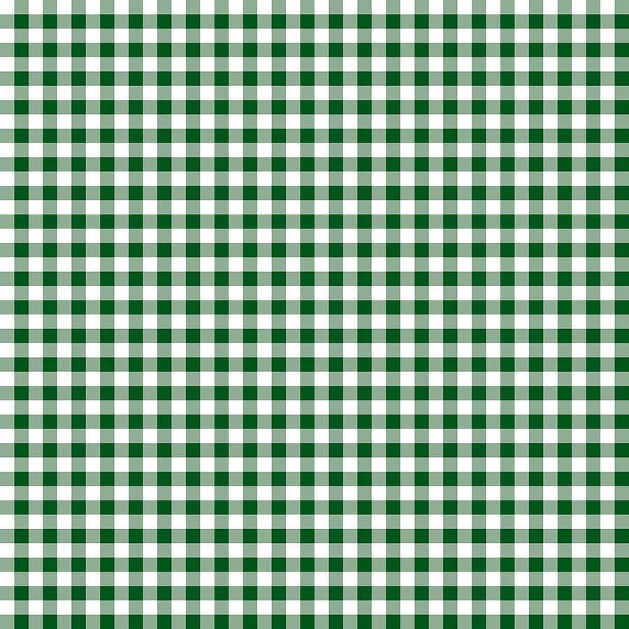 Essentials Gingham White/Dark Green – Remnant 22″ × 44″