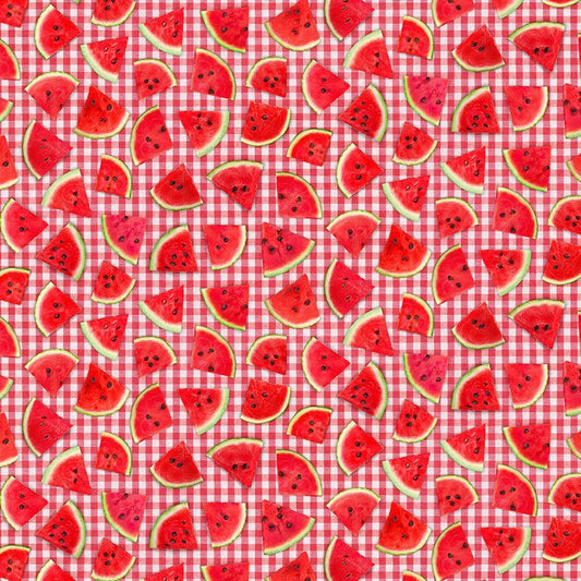 Fresh Fruit Watermelon Slice on Plaid Red - Timeless Treasures from Fort Worth Fabric Studio