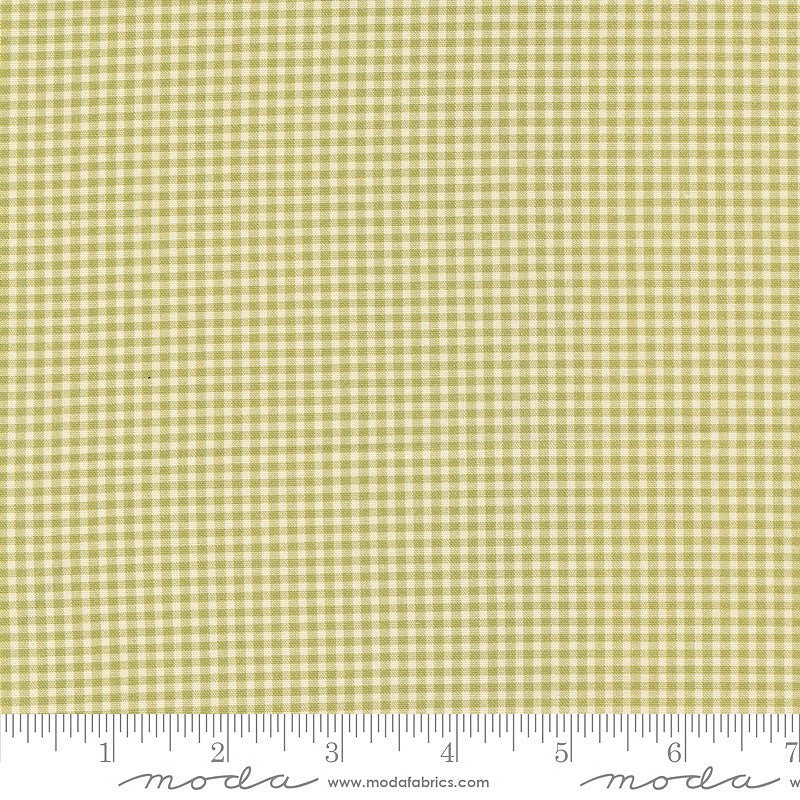 Goodnight Irene Checks & Plaids Sage – Remnant 40″ × 44″ - Moda from Fort Worth Fabric Studio