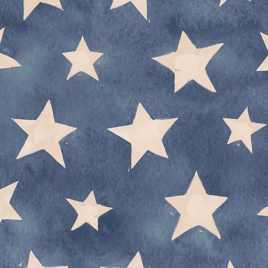 Heroes Wanted Minky Stars Denim - A.E. Nathan from Fort Worth Fabric Studio
