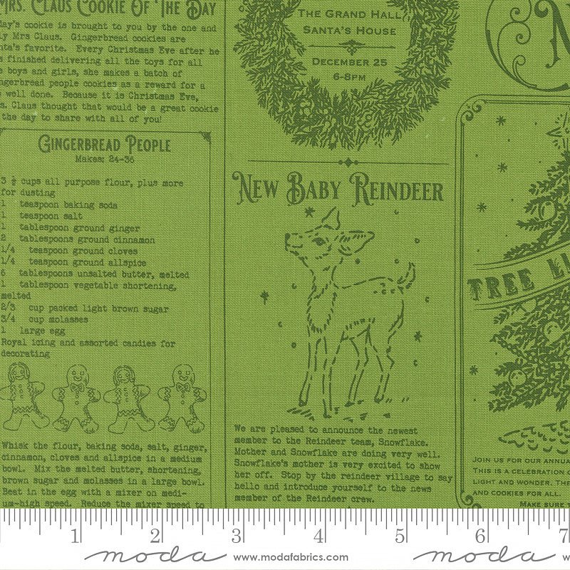 Holiday Cheer Text & Words Mistletoe – Remnant 10″ × 44″