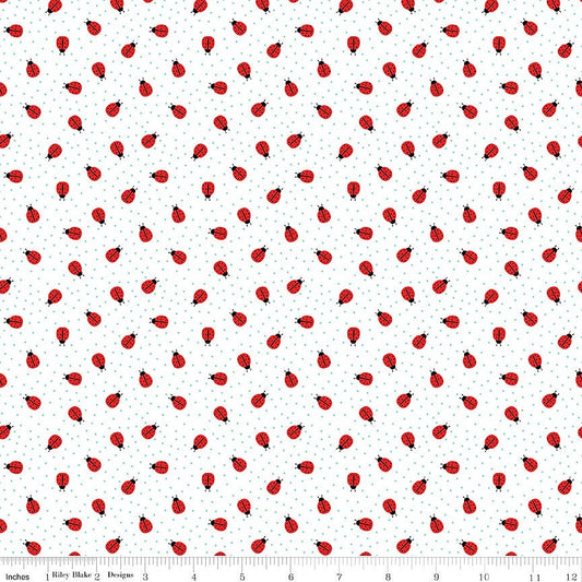 Little Ladybug Ladybugs White - Riley Blake from Fort Worth Fabric Studio