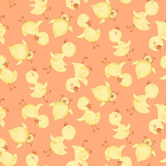 Lucky Duck Duck Toss Orange - Studio E from Fort Worth Fabric Studio