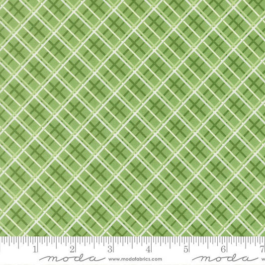 Merrily on High Checks & Plaids Evergreen - Moda from Fort Worth Fabric Studio