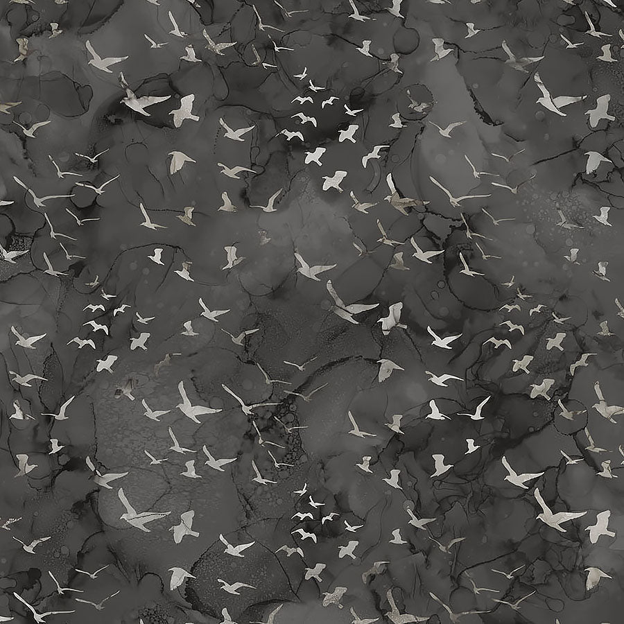 Misty Morning Birds Black – Remnant 39″ × 44″ - Northcott from Fort Worth Fabric Studio