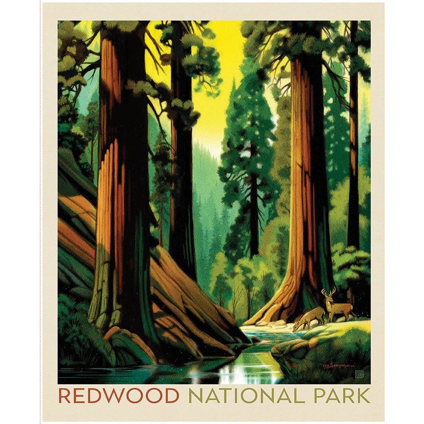National Parks 36" Redwood Panel Multi - Riley Blake from Fort Worth Fabric Studio