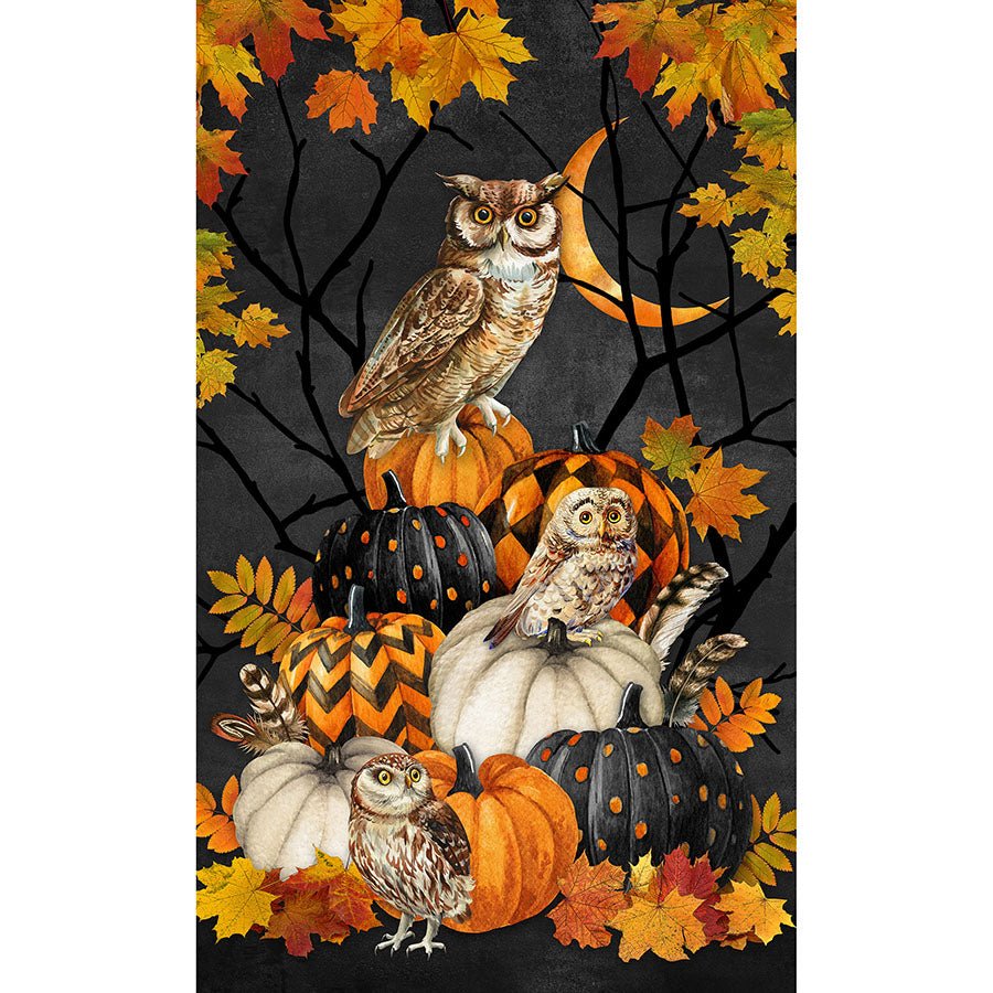 Night Owl 26" Panel Charcoal Multi - Northcott from Fort Worth Fabric Studio