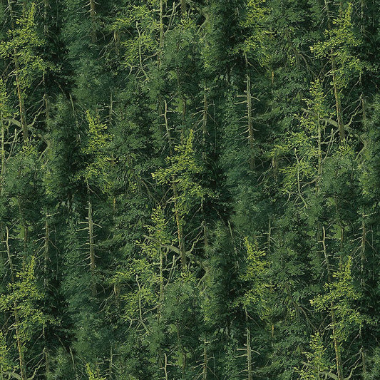 Northwoods Evergreen Trees Dark Green - Northcott from Fort Worth Fabric Studio