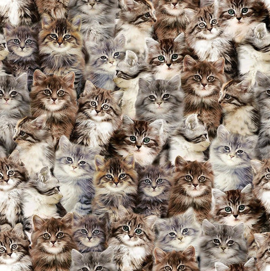 One of a Kind Kittens Multi – Remnant 39″ × 44″ - Windham from Fort Worth Fabric Studio