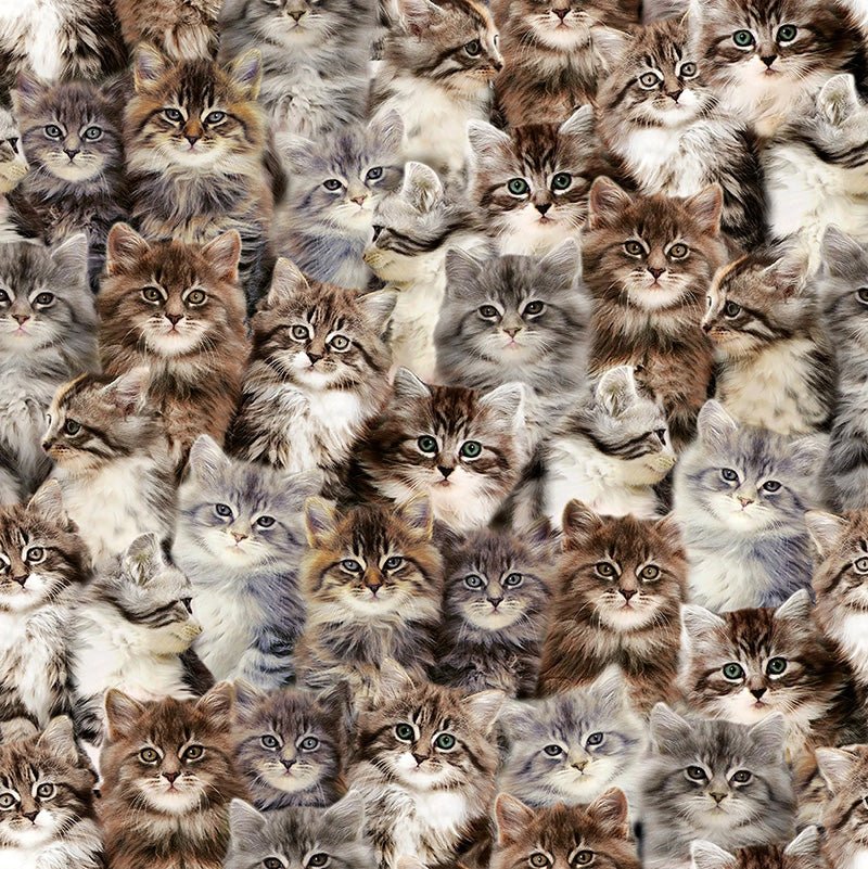 One of a Kind Kittens Multi – Remnant 39″ × 44″