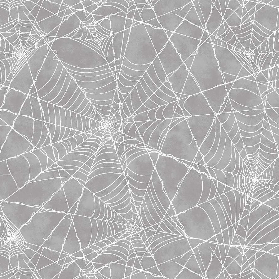 Pretty Scary Spiderweb Storm – Remnant 10" × 44"