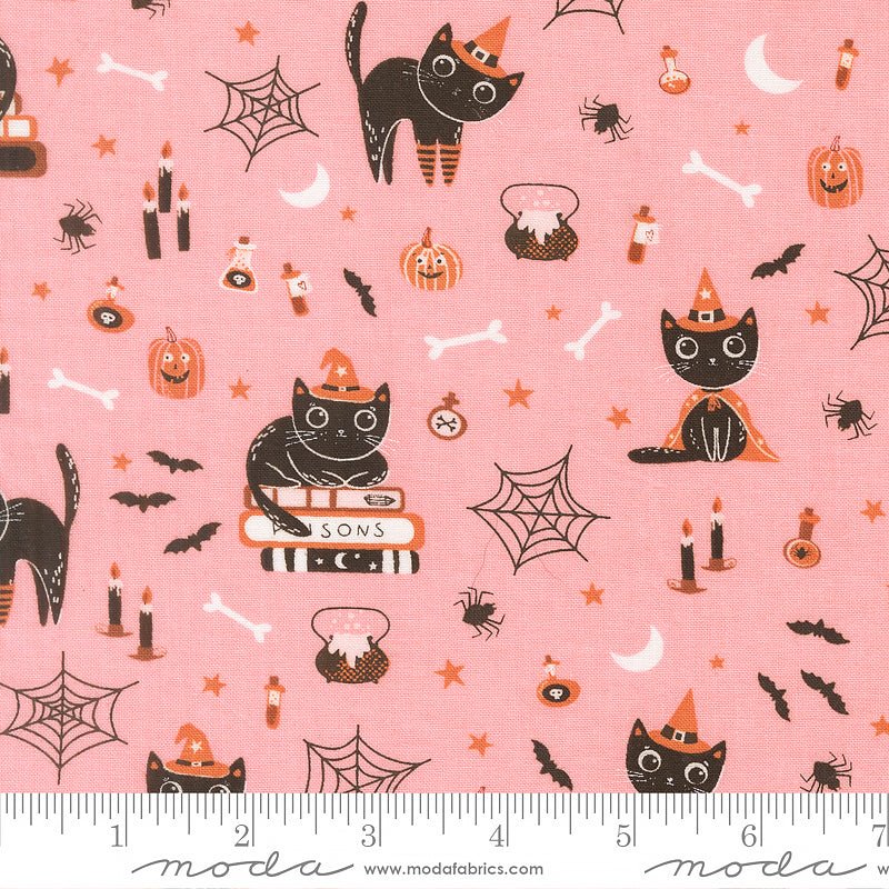 Purrs & Boos Cats Candy – Remnant 10″ × 44″