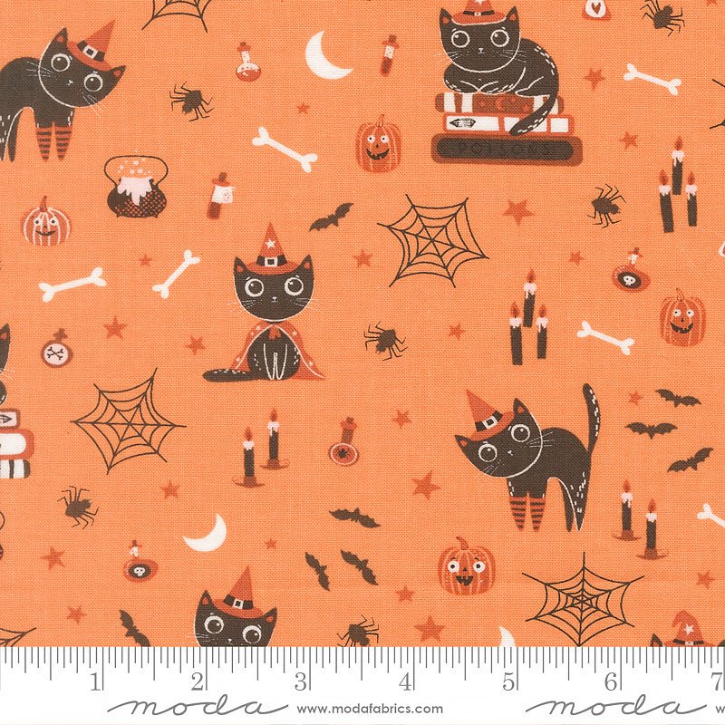Purrs & Boos Cats Pumpkin - Moda from Fort Worth Fabric Studio