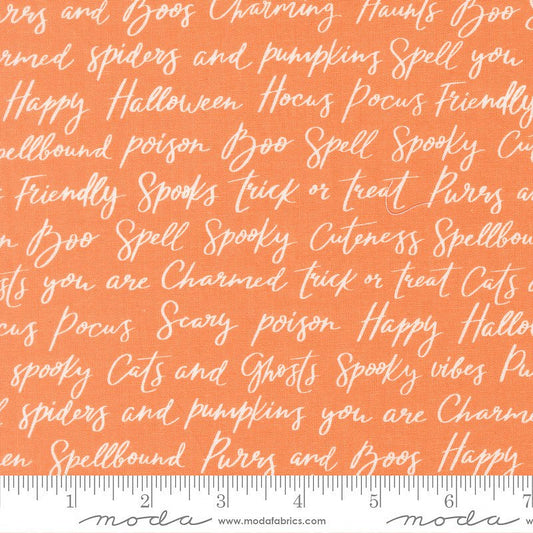 Purrs & Boos Text & Words Pumpkin - Moda from Fort Worth Fabric Studio