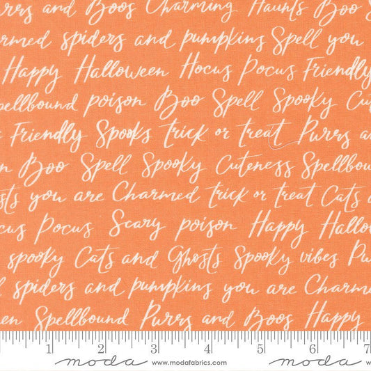 Purrs & Boos Text & Words Pumpkin – Remnant 37″ × 44″ - Moda from Fort Worth Fabric Studio