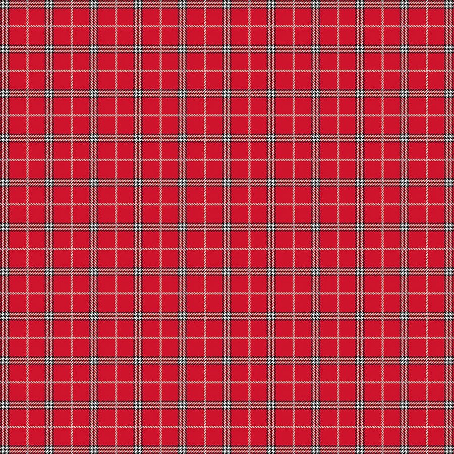 Rudolph The Red-Nosed Reindeer Plaid Red – Remnant 43″ × 44″