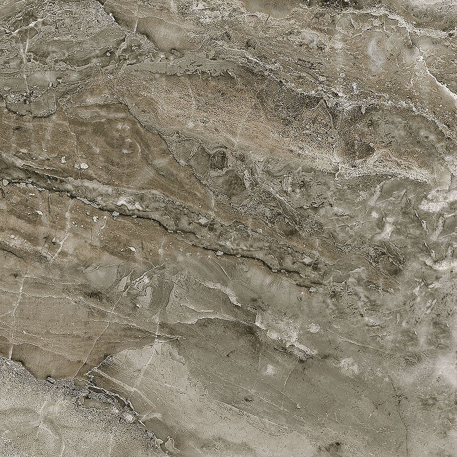 Running Free Granite Dark Taupe - Northcott from Fort Worth Fabric Studio