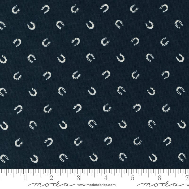 Saddle Ranch Lucky Horseshoe Night Sky – Remnant 23″ × 44″