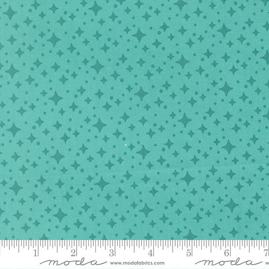 Scenery Starlight Poolside - Moda from Fort Worth Fabric Studio