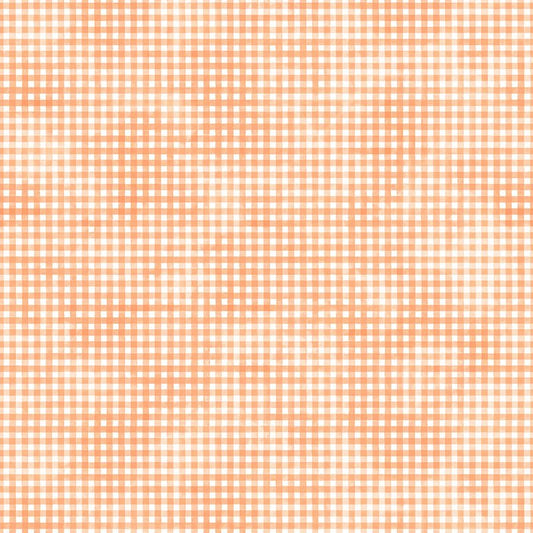 Sorbet Gingham Coral - P&B Textiles from Fort Worth Fabric Studio