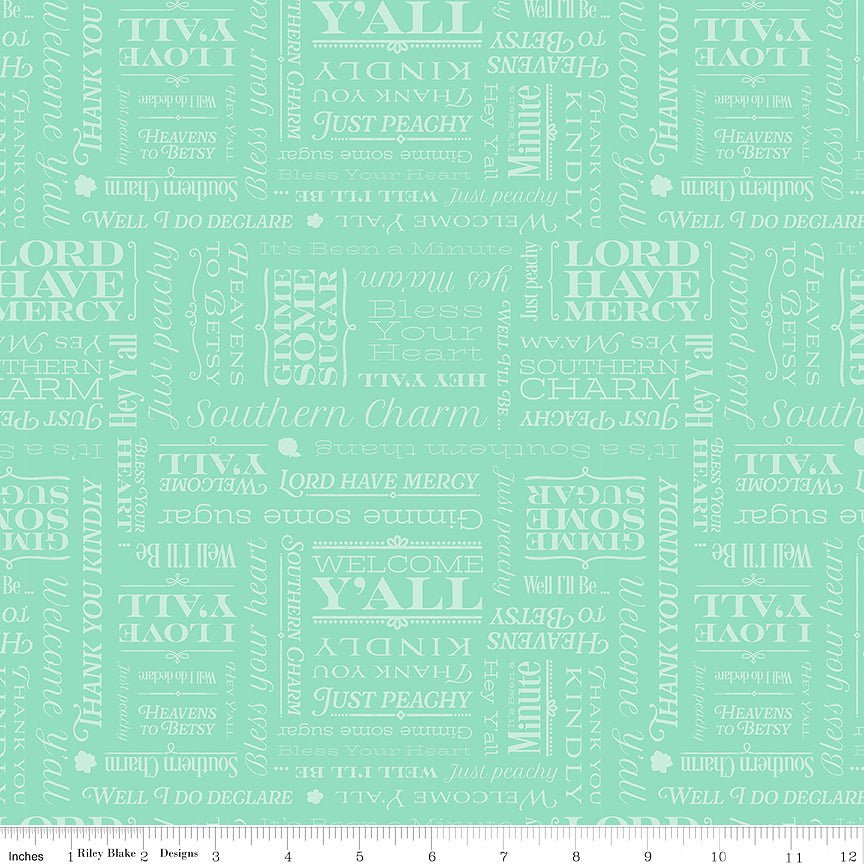 Southern Charm Text Mint – Remnant 10″ × 44″