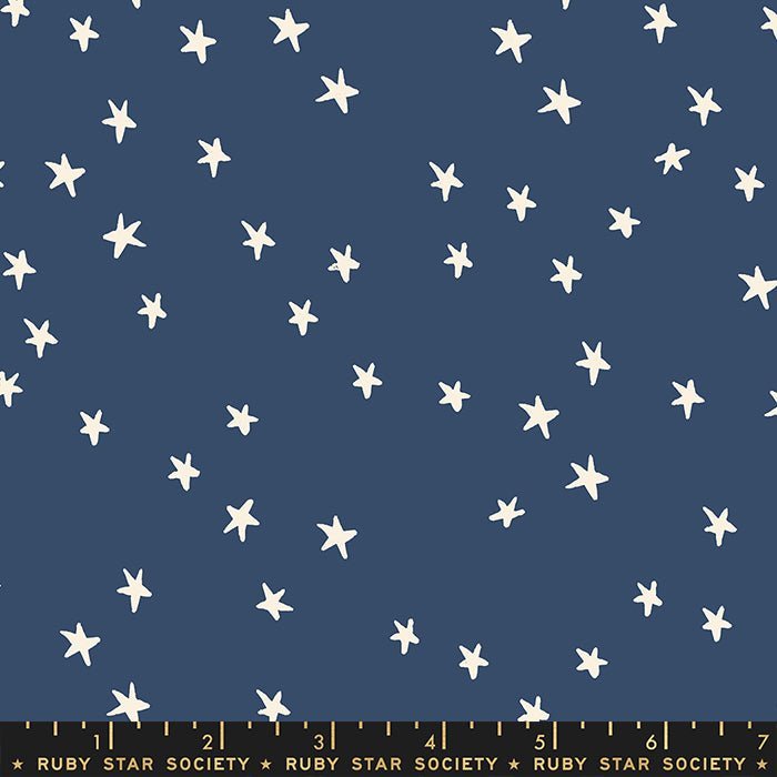 Starry Night Sky Bluebell – Remnant 42″ × 44″ - Ruby Star Society from Fort Worth Fabric Studio