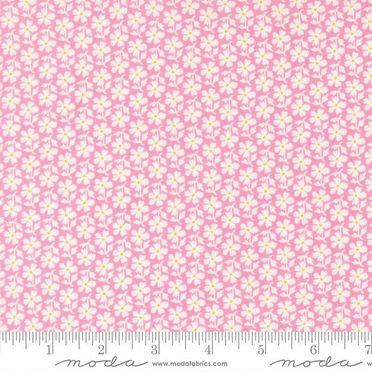 Summer's End Daisies Lilac - Moda from Fort Worth Fabric Studio