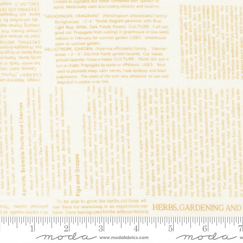 Summer's End Text & Words Almond Pie – Remnant 19″ × 44″