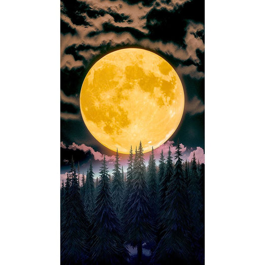Super Moon 24" Panel Black - Timeless Treasures from Fort Worth Fabric Studio