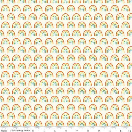 Two by Two Chasing Rainbows Multi - Riley Blake from Fort Worth Fabric Studio
