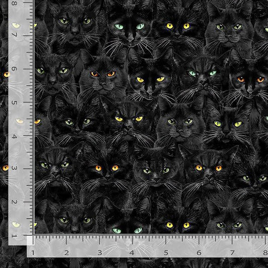 Wicked Willow Cats Glow Eyes Black - Timeless Treasures from Fort Worth Fabric Studio