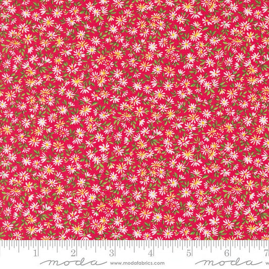 Wildflowers Daisy Field Poppy – Remnant 16" × 44" - Moda from Fort Worth Fabric Studio