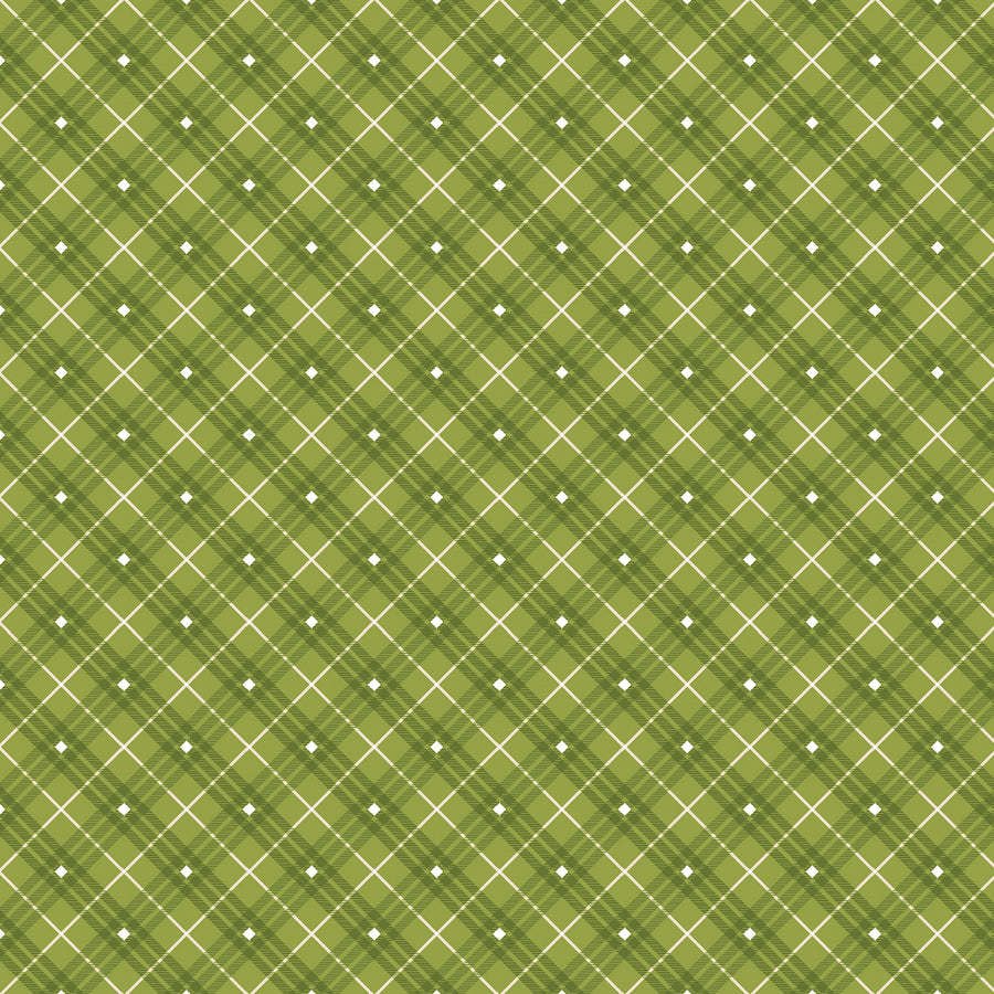 Bias Plaid Basics Green