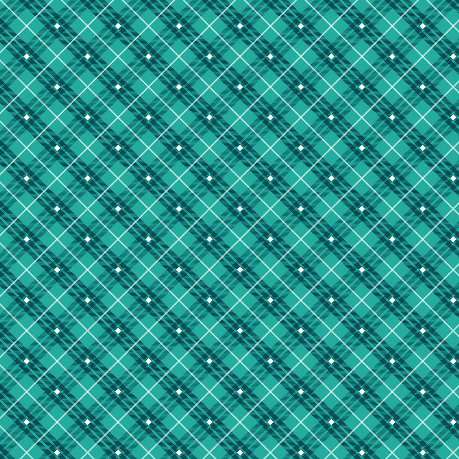 Bias Plaid Basics Teal