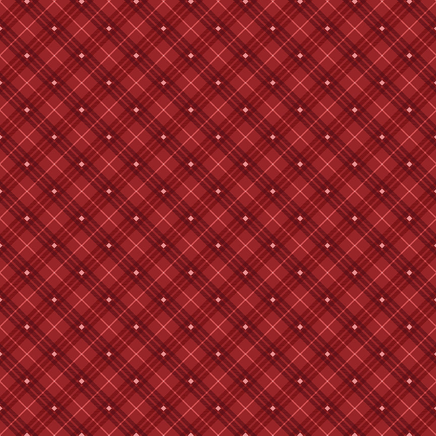 Bias Plaid Basics Red
