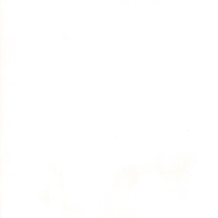 Grunge Basics Eggshell Yardage by Moda