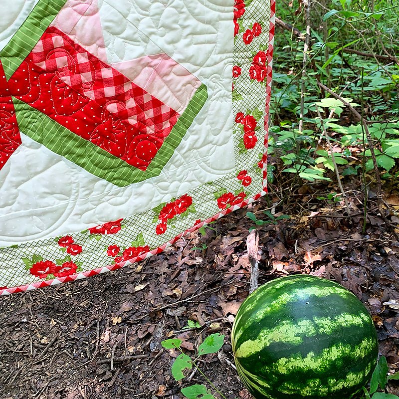 Suddenly Summer Quilt Pattern PDF Download - Fort Worth Fabric Studio from Fort Worth Fabric Studio